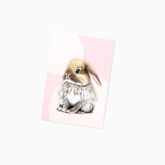 Hase