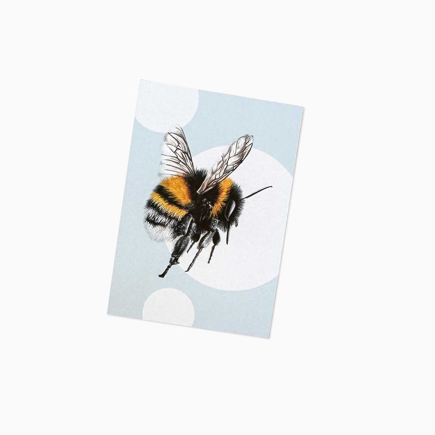 Hummel klein