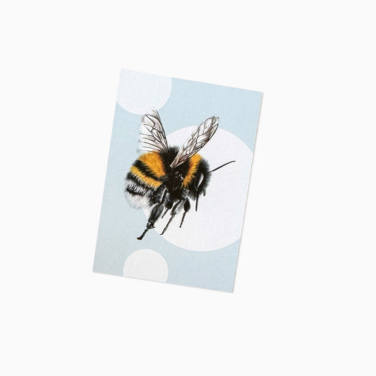 Hummel klein