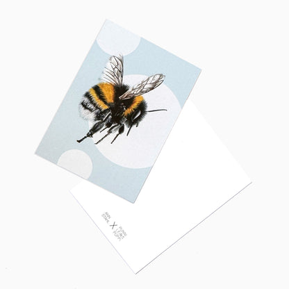 Hummel klein