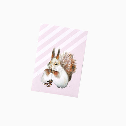 Eichhörnchen