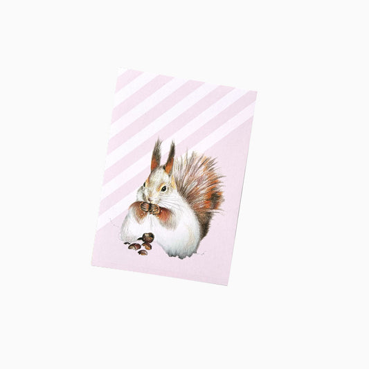 Eichhörnchen