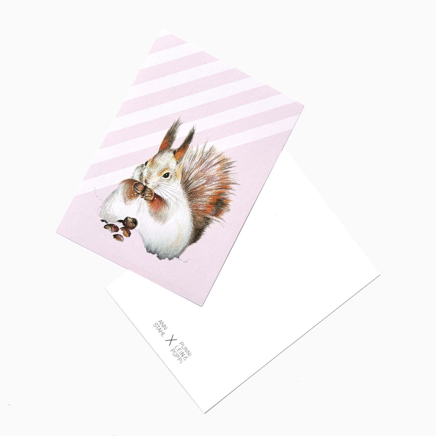 Eichhörnchen