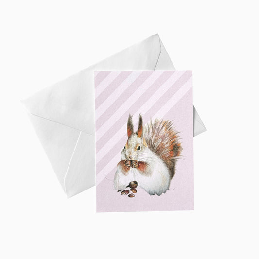 Eichhörnchen Klein mit Umschlag